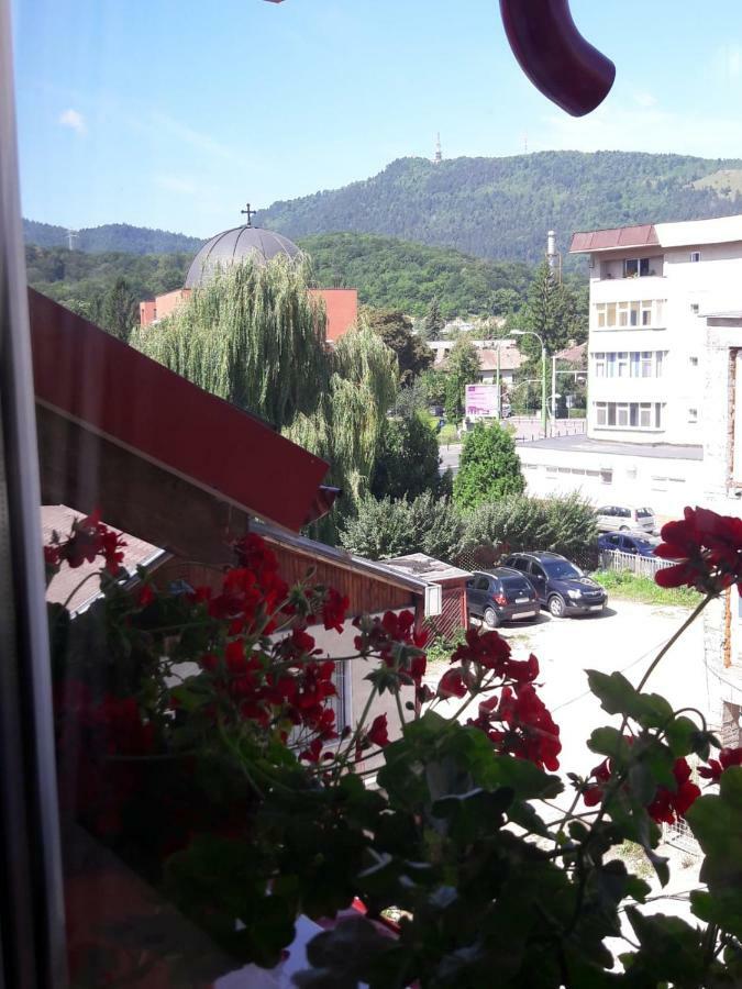 Felicita Apartment Brasov Ngoại thất bức ảnh